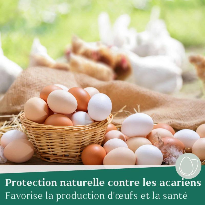 Aliment Bio Agrarzone Pour Poules Pondeuses Farine De Ponte Agrarzone