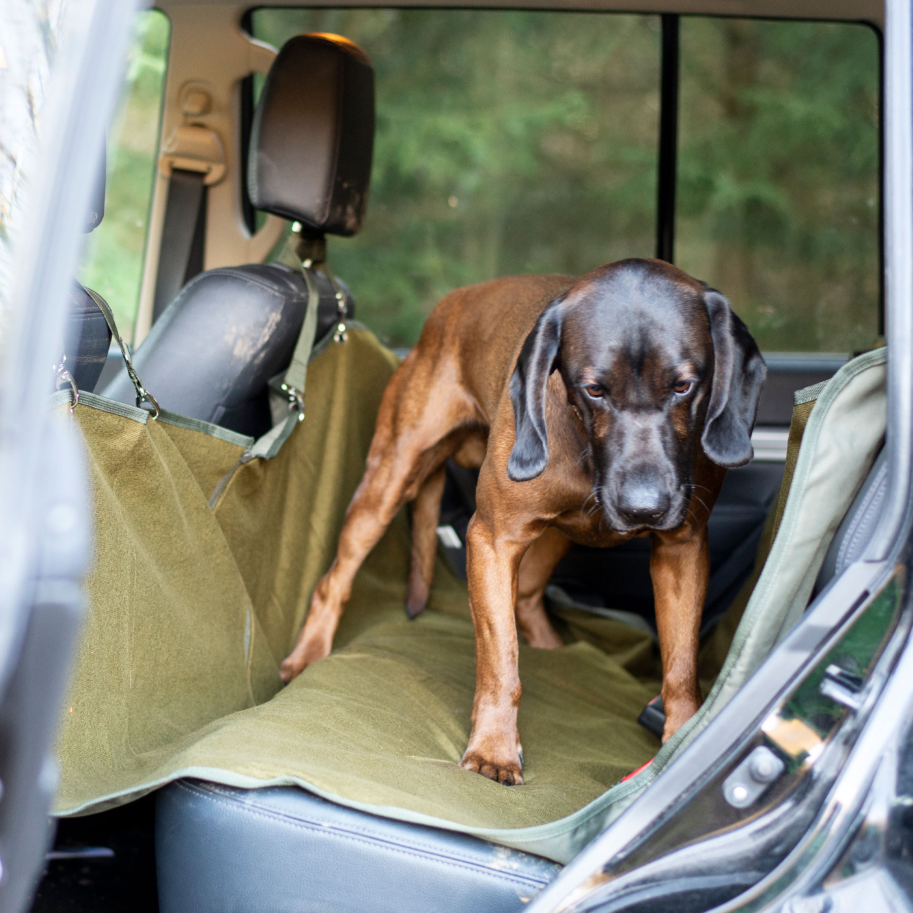 Couverture pour chien pour banquette arrière de voiture