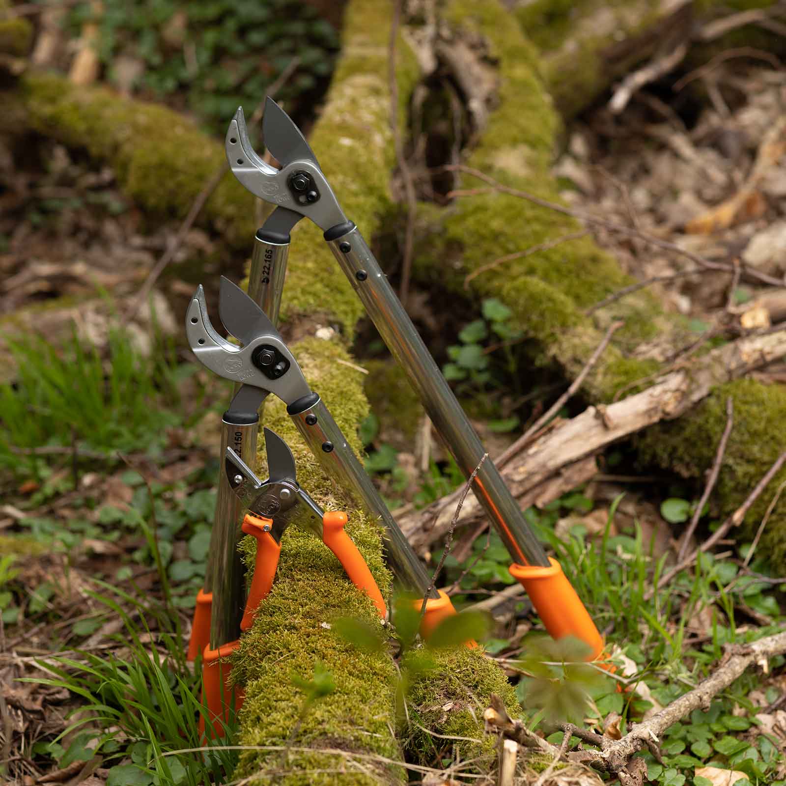 Ciseaux de chasse Löwe - 21 cm