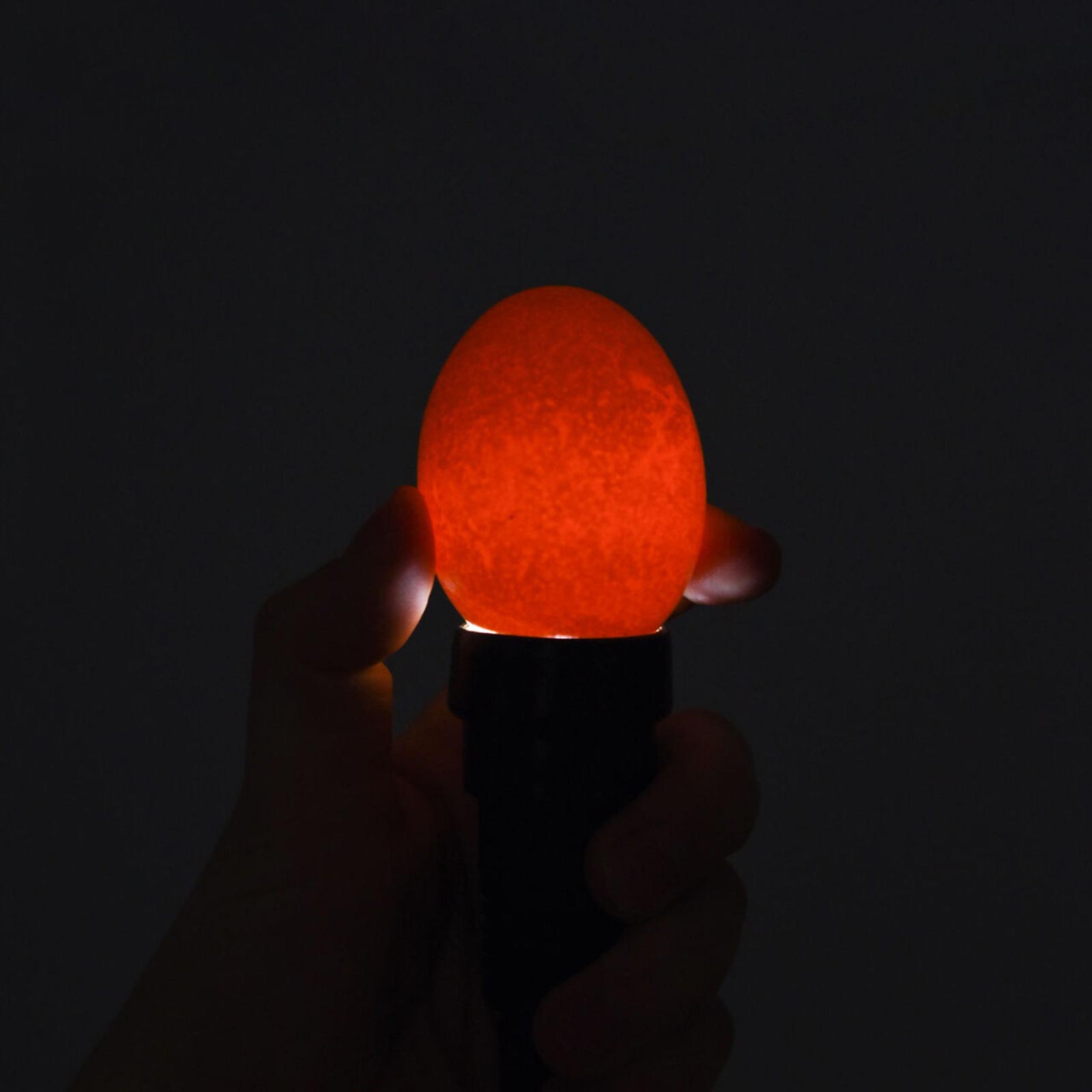 Mire œufs LED