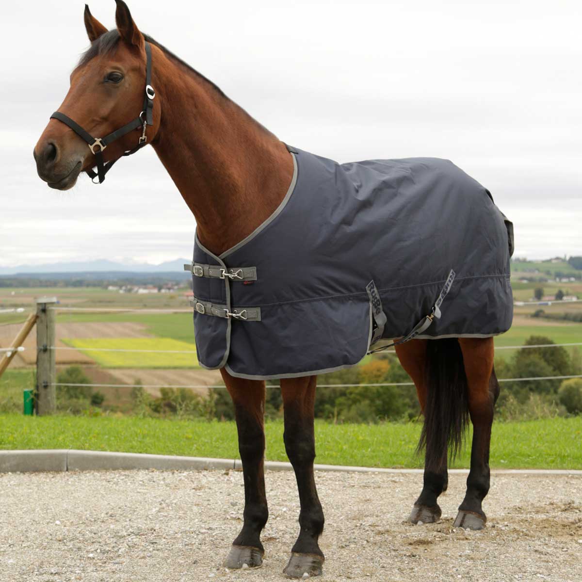 Covalliero Tapis de cheval RugBe IceProtect navy 600d, 300g