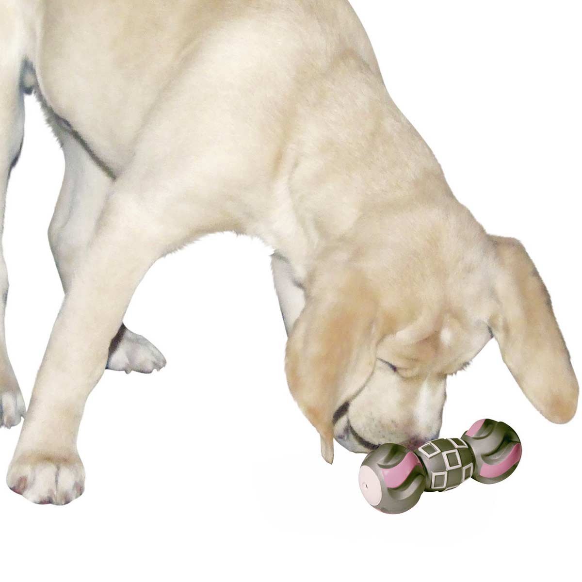Jouet pour chien en vinyle Haltère avec squeaker 19 cm