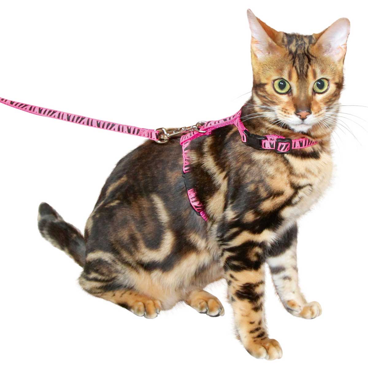 Kerbl Harnais pour chat avec laisse 120cm x 10mm, rose