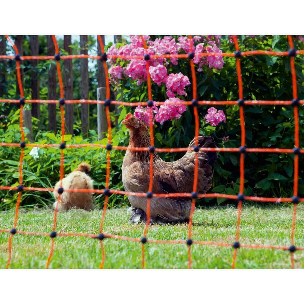 Kit clôture pour volailles Agrarzone N3500 230V, 5,5J, filet 50m x 112cm, orange