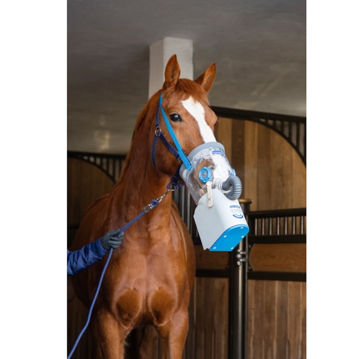Inhalateur à ultrasons a batterie pour chevaux sans masque Hippomed AirOne Flex