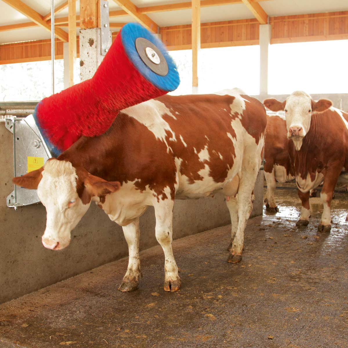 Machine à nettoyer les vaches Happycow Uno avec des poils en PP