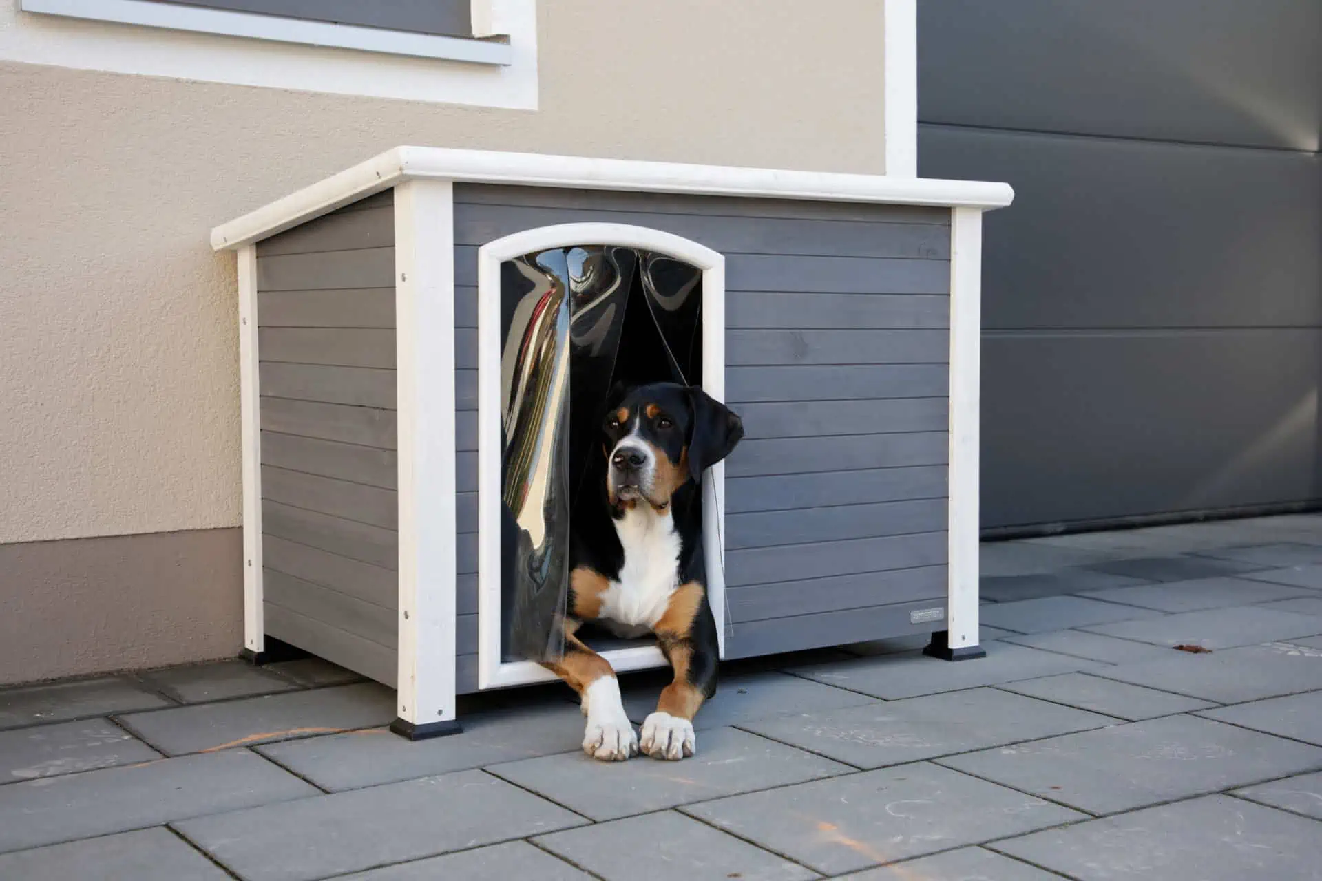 Dog House Kenny, grey/white 113 x 77 x 81 cm