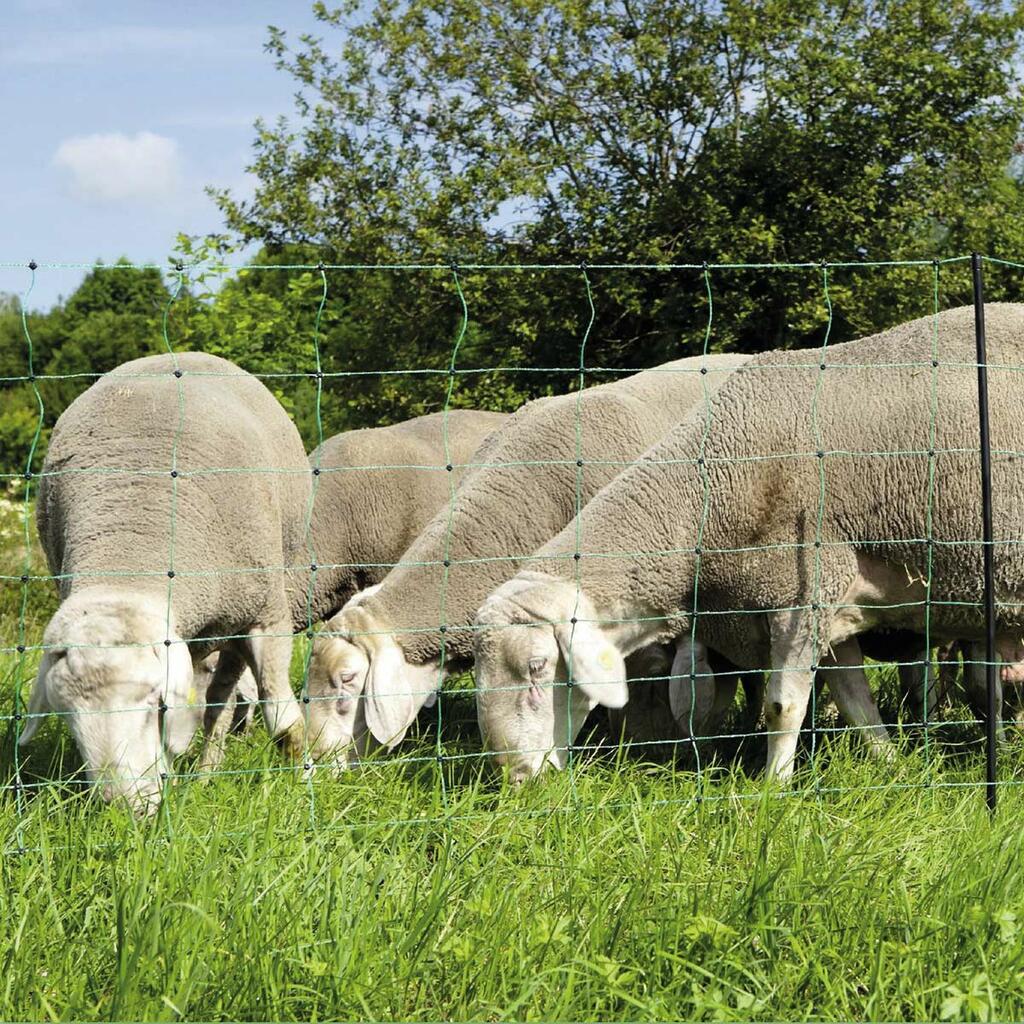 Kit clôture pour lamas, alpagas et chèvres Agrarzone & électrificateur DUO 3000 12V/230V, 4.5J, filet 50m x 108cm, vert