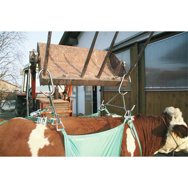 Harnais de levage pour bétails Kerbl jusqu'à 1000 kg