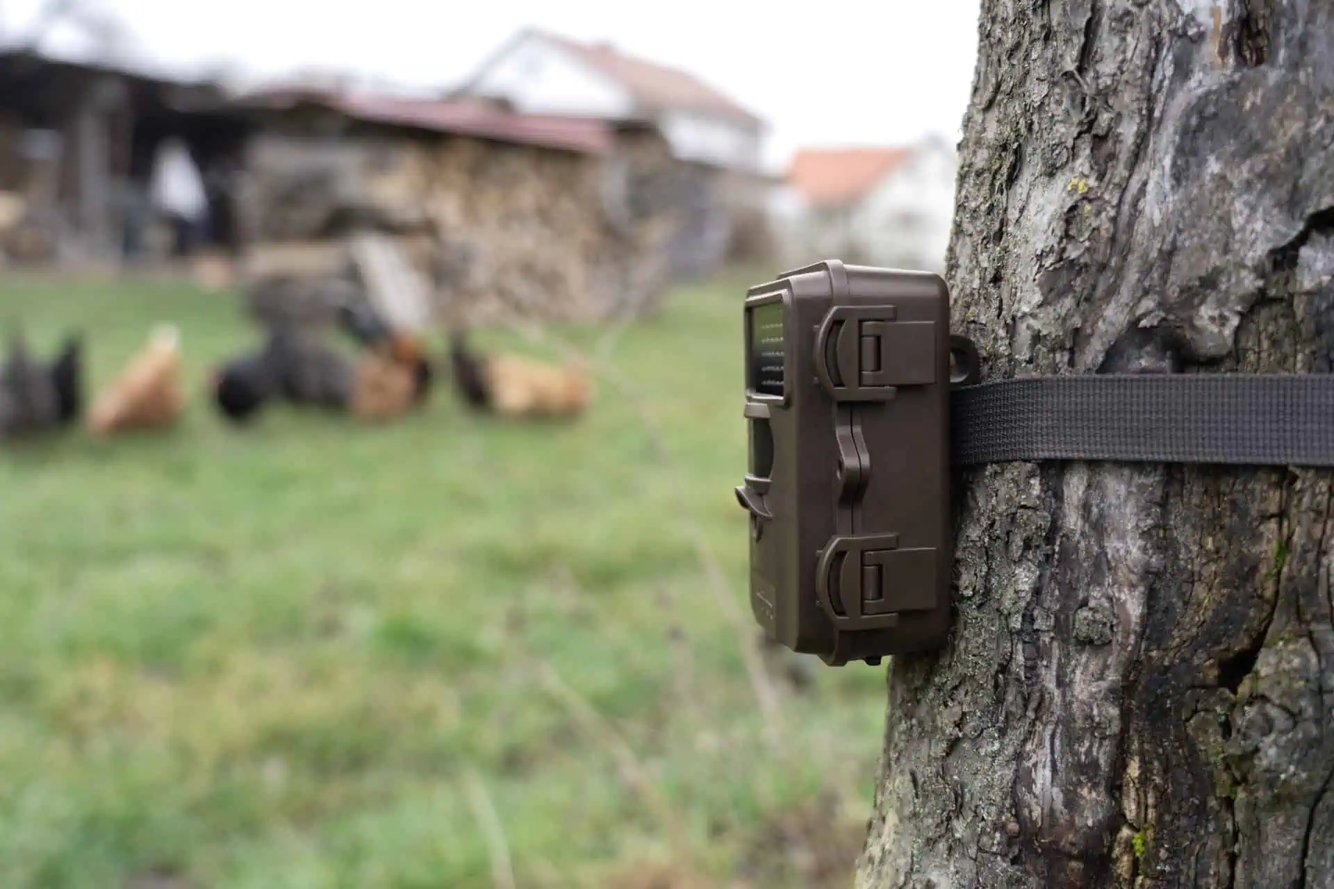 Caméra de surveillance SnapShot Mini Noir 30MP 4K
