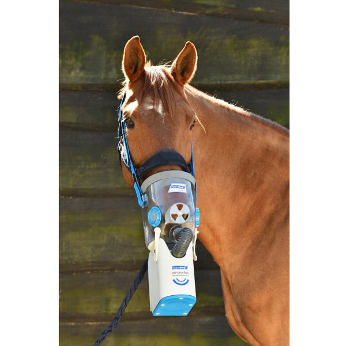 Inhalateur à ultrasons Hippomed à batteries pour chevaux AirOne Flex avec masque FULL