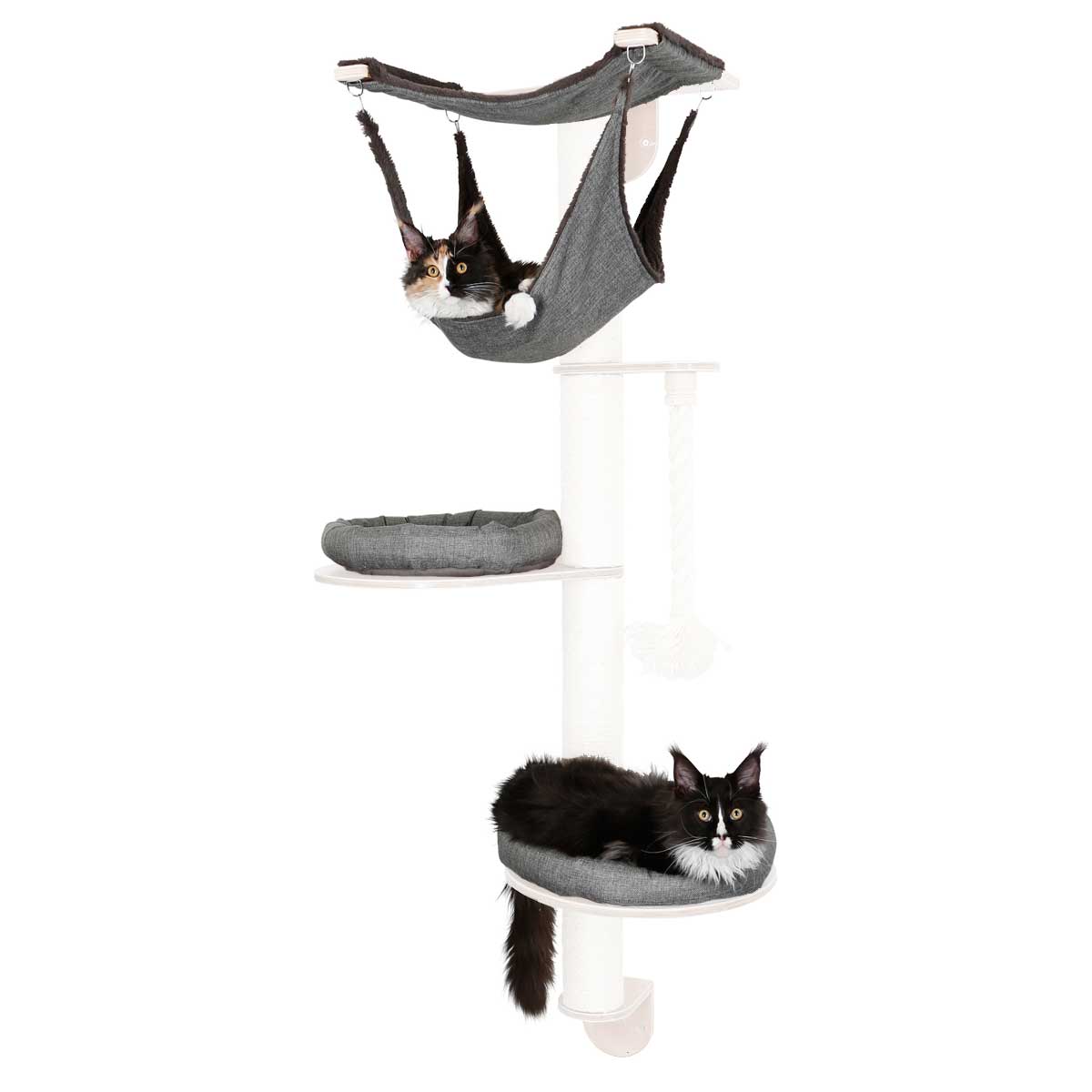 Set de coussins de remplacement pour arbre à chat mural dolomit 2.0 tofana