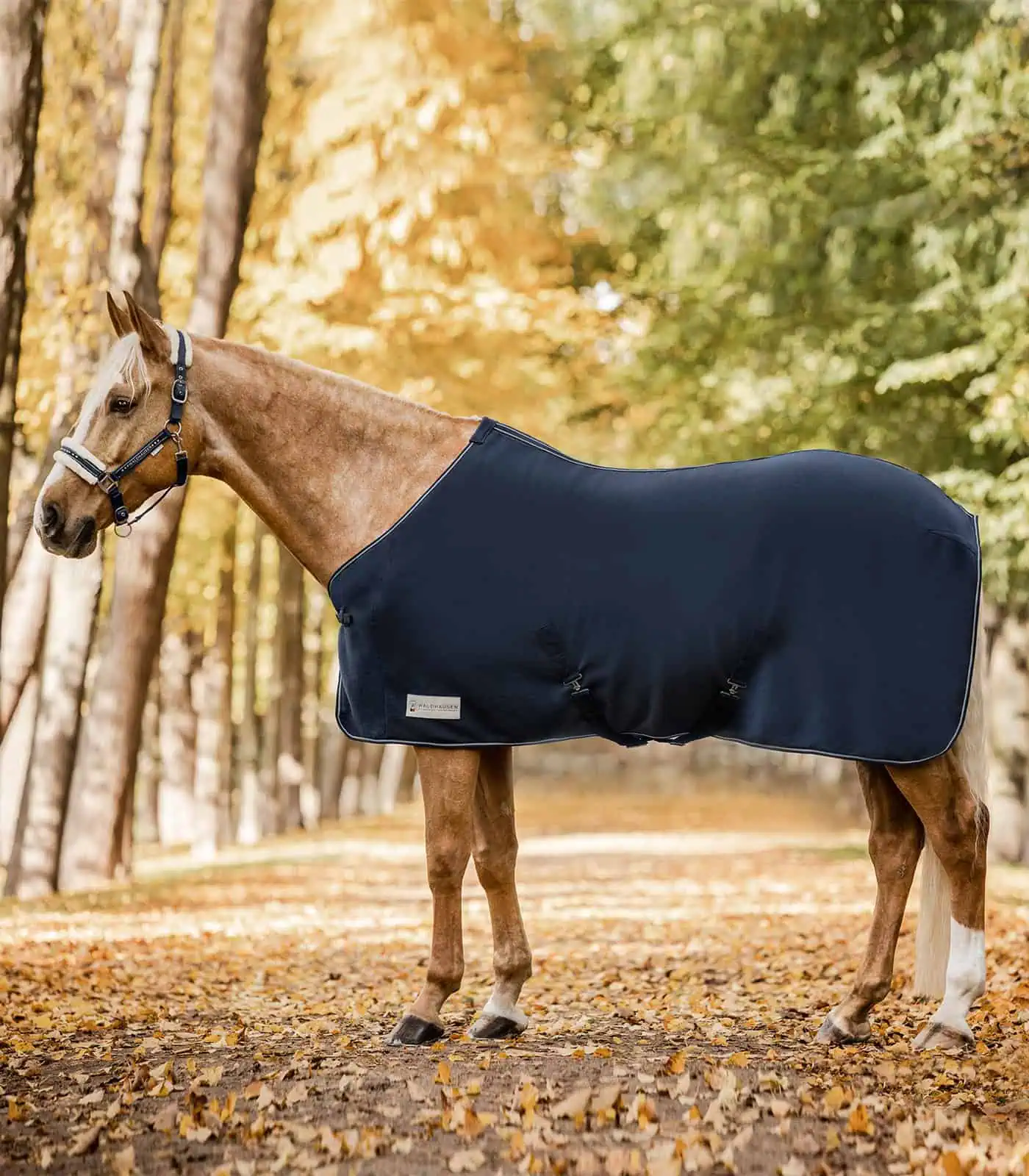 Chemise polaire ECONOMIC avec sangles croisées