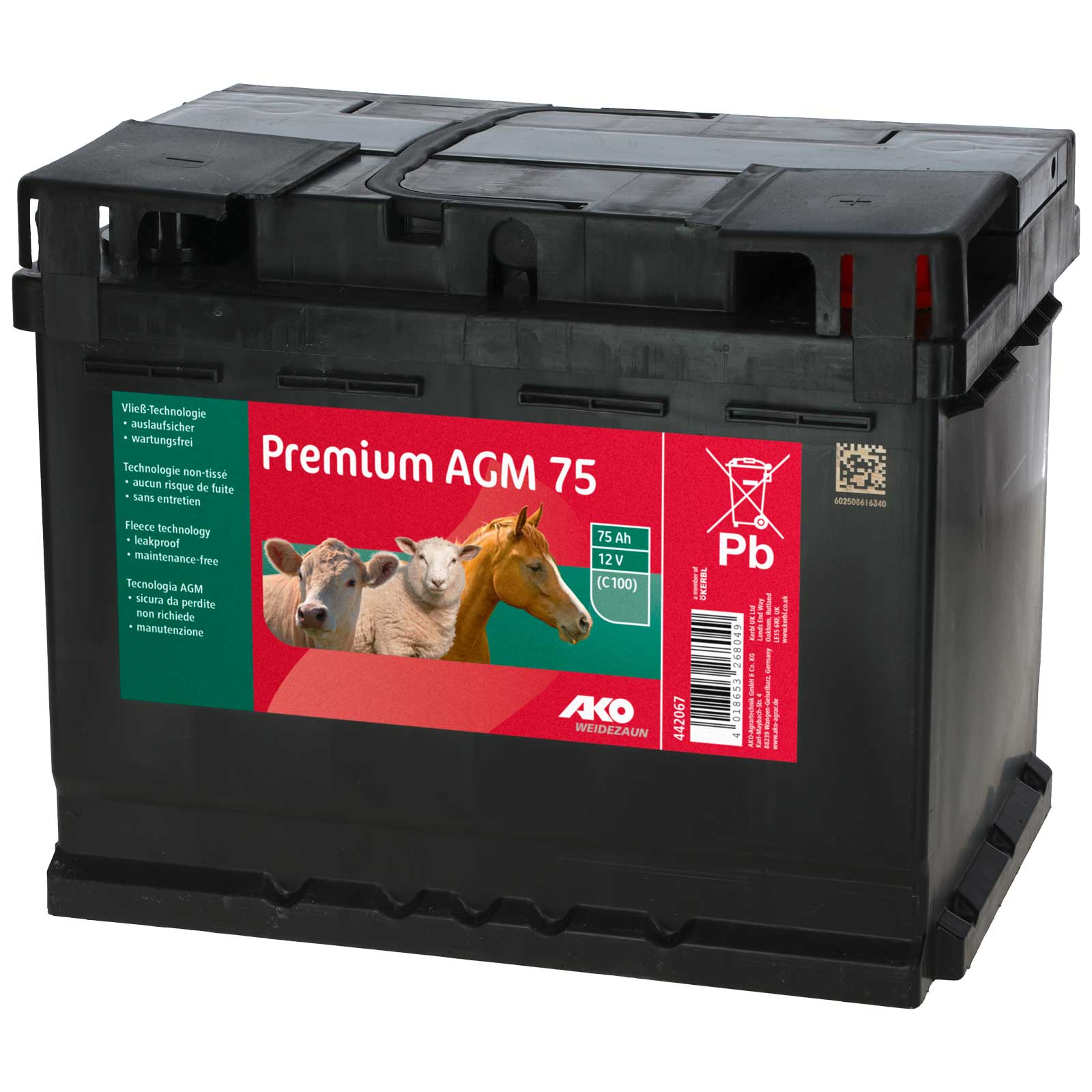 Batterie AGM Premium pour clôtures 12 V 75 Ah