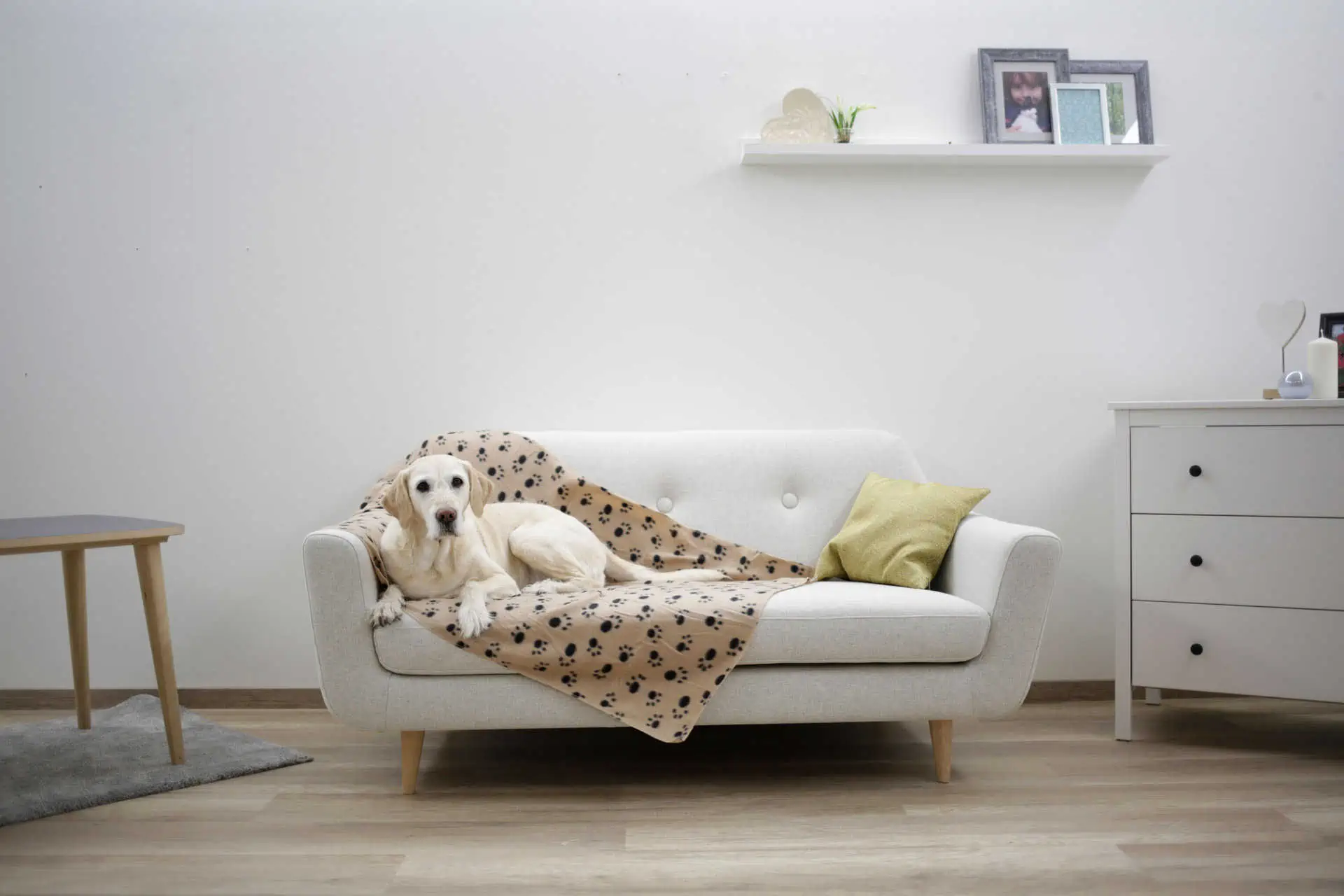 Dog Blanket Stella 140x100cm beige with paws