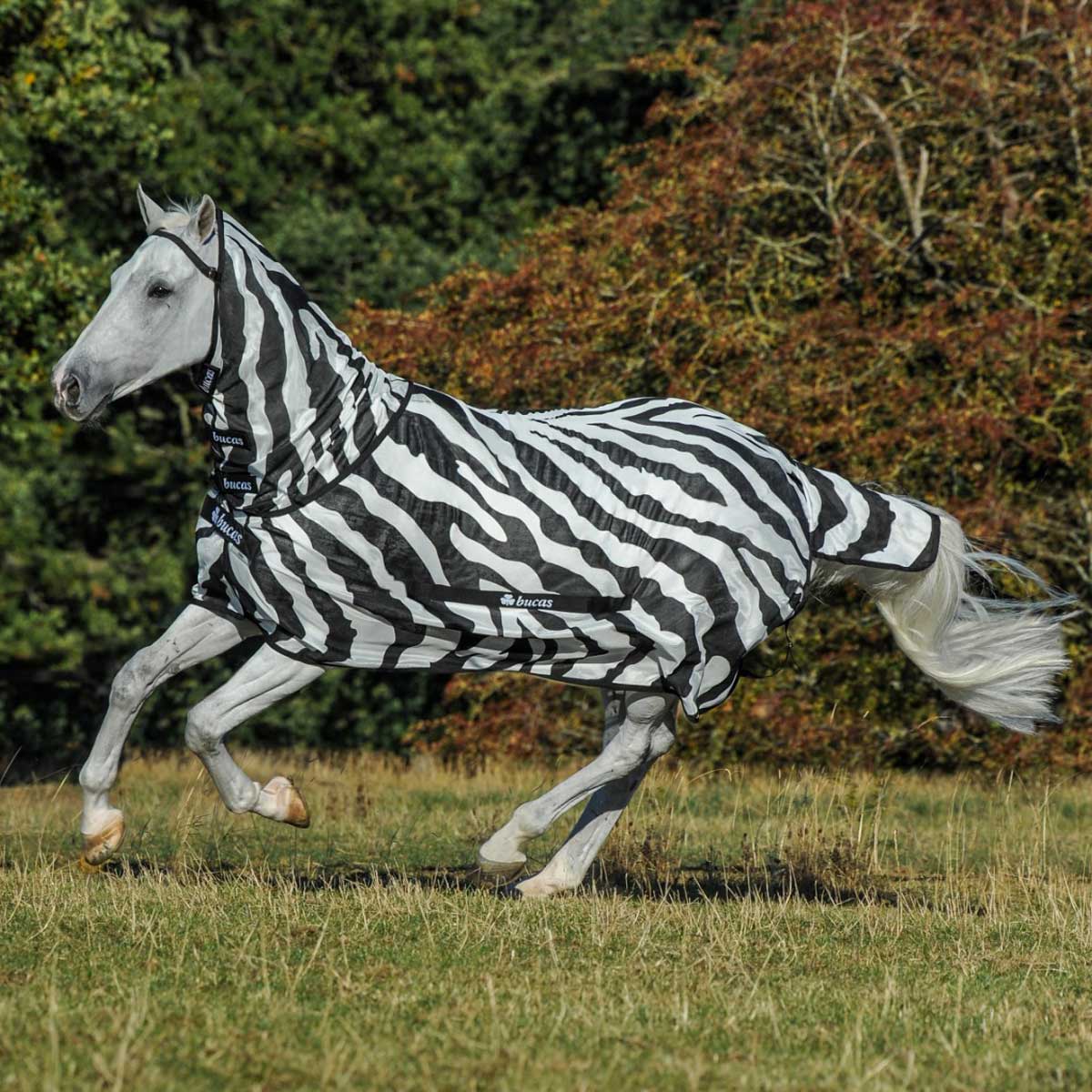 Couverture anti mouches cheval Bucas Buzz-Off Zebra Full-Neck