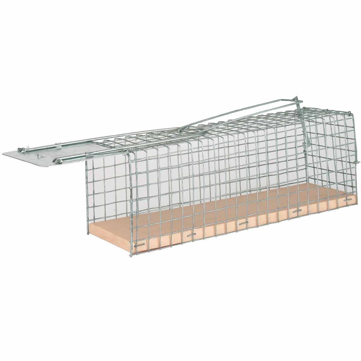 Cage métallique de capture de rat