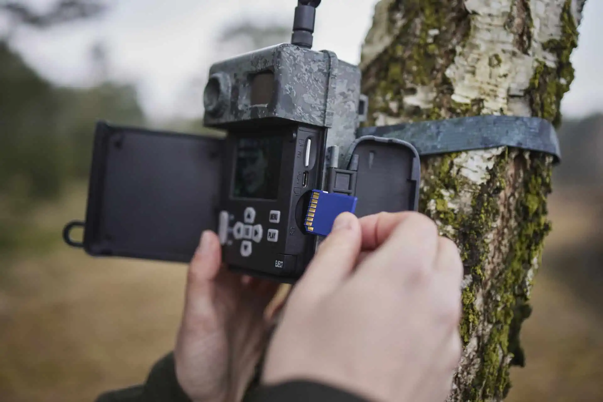Caméra de chasse ZEISS Secacam 7 pour la faune