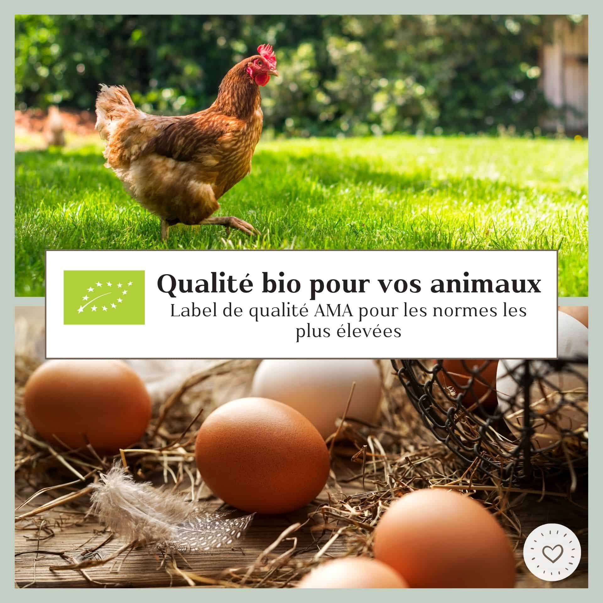 Nourriture Bio Agrarzone pour poules mélange de graines 25 kg