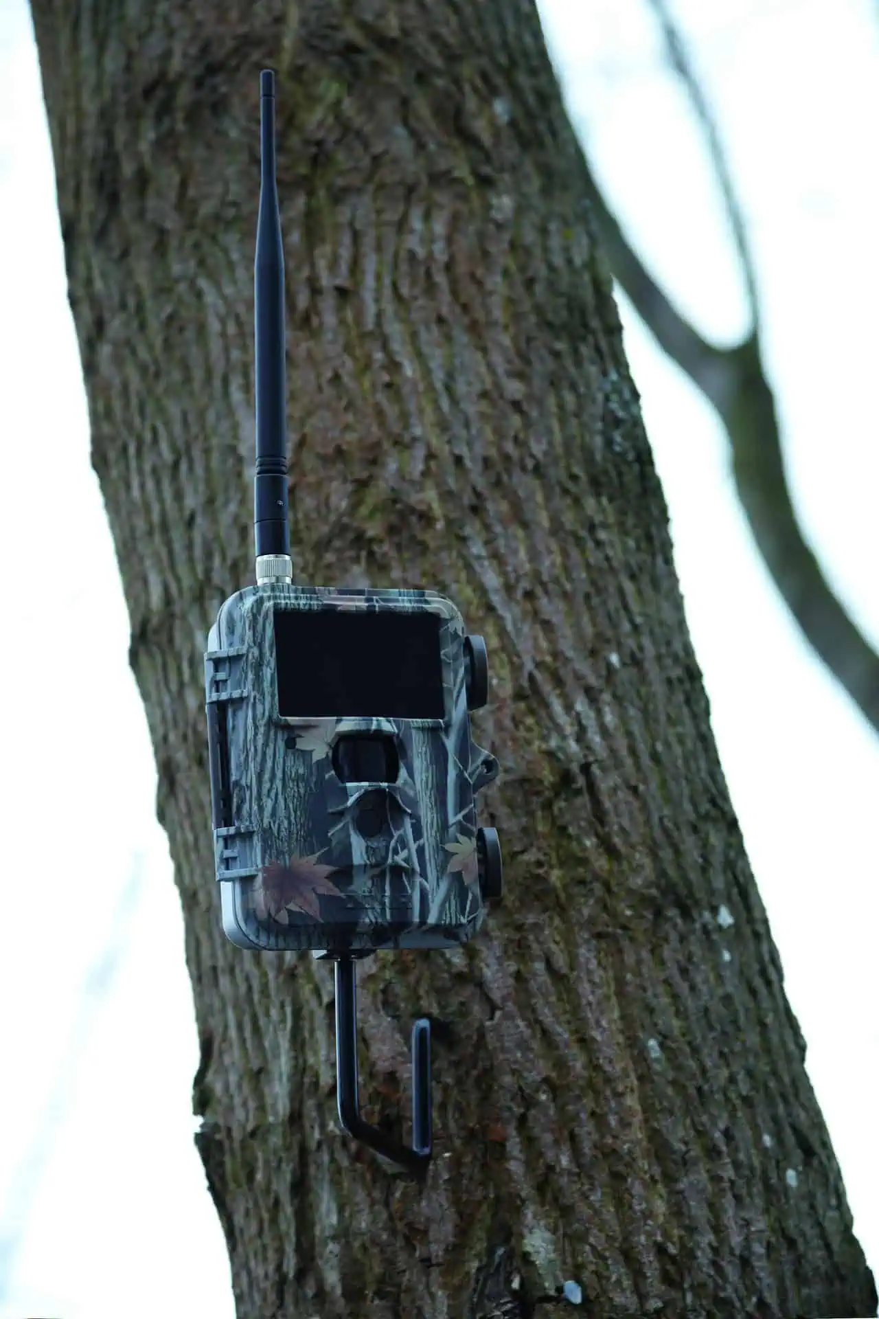 Vis à arbre 1/4" pour caméras de surveillance