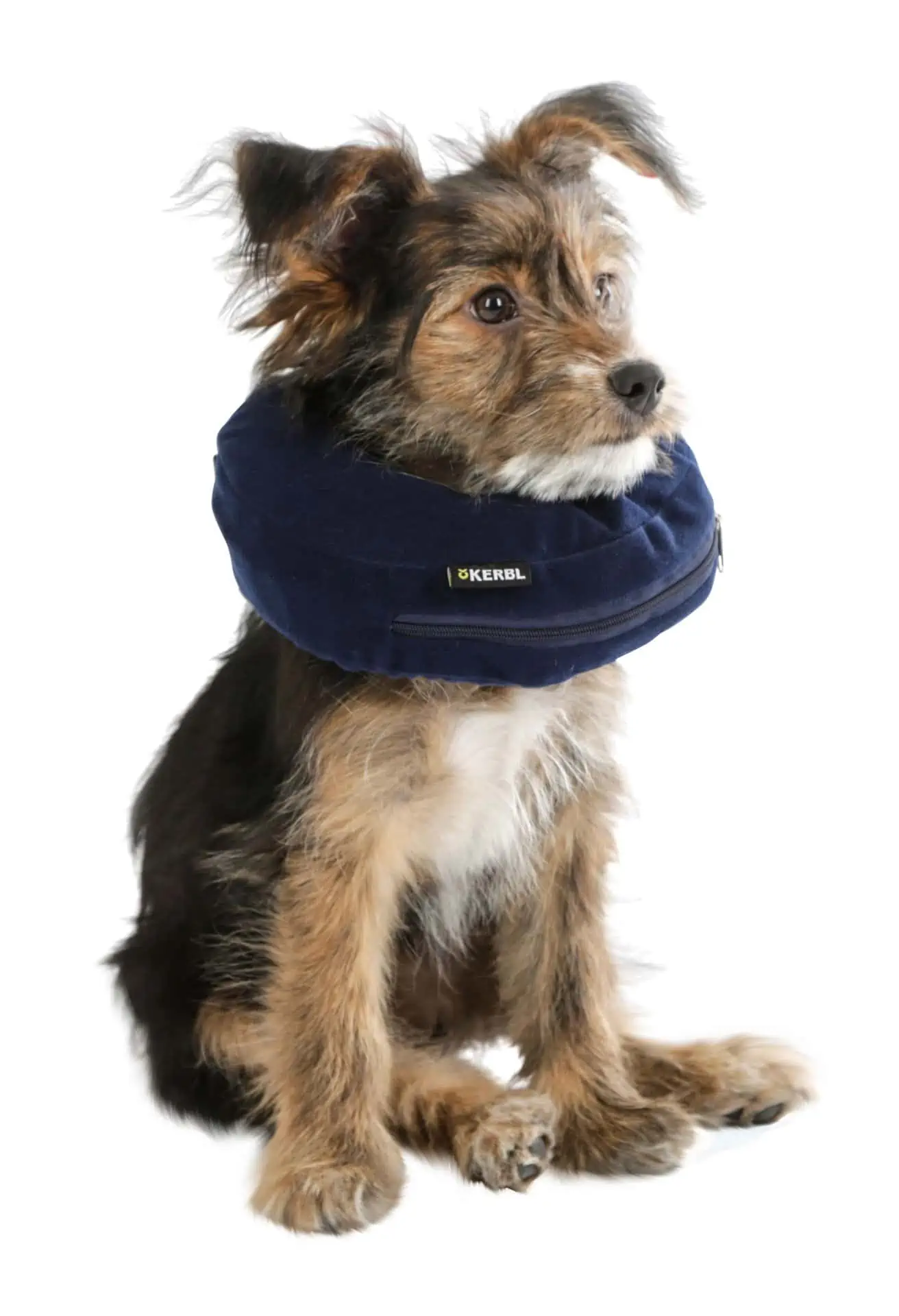 Dog Surg. Collar, inflatable, blue, 18-30 cm