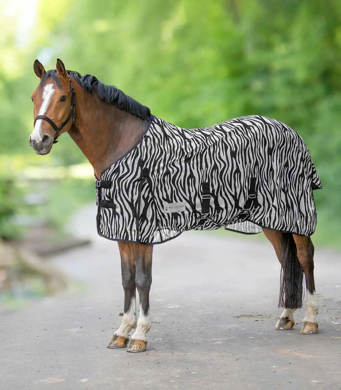 Chemise anti-mouches Zebra