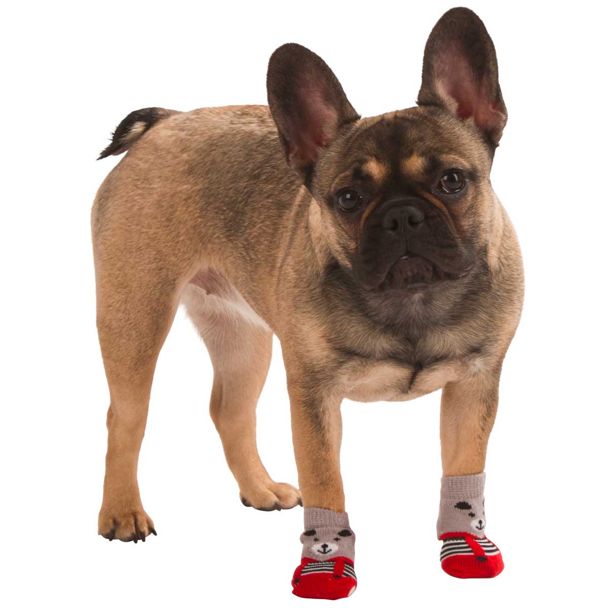 Chaussettes pour chiens Bruno l