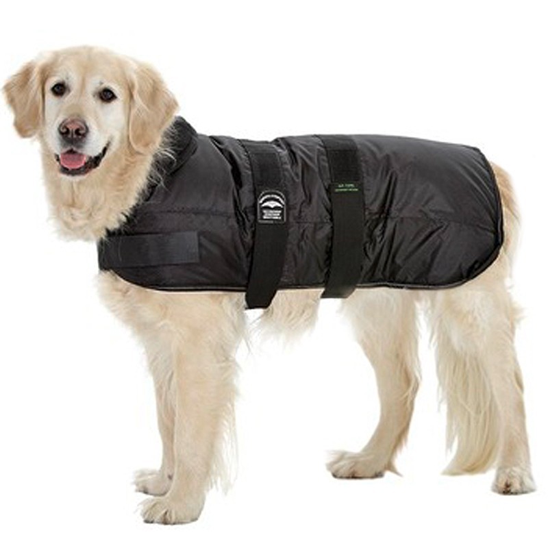 Manteau pour chien ours polaire noir 25 cm