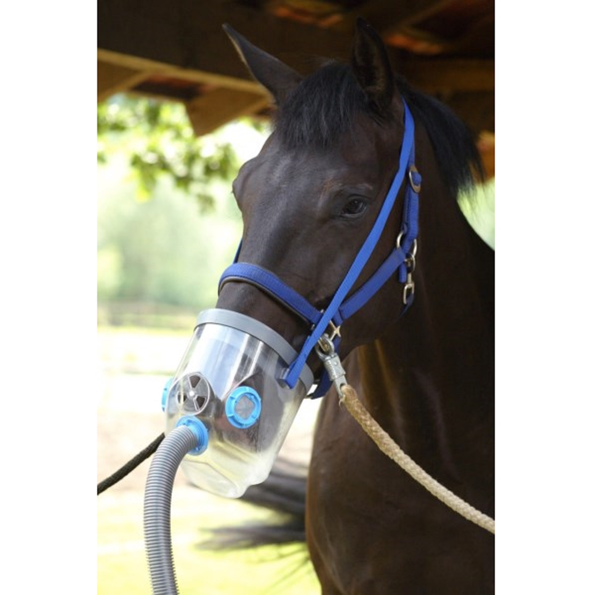 Inhalateur à ultrasons Hippomed AirOne pour chevaux, masque PLEIN AIR inclus