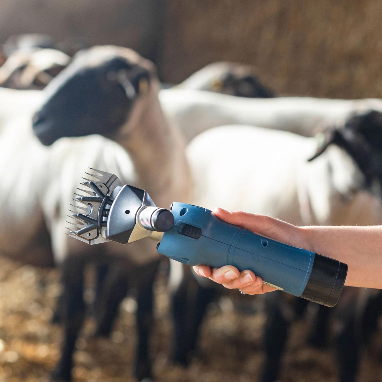 Tondeuse pour moutons FarmClipper à 2 batteries
