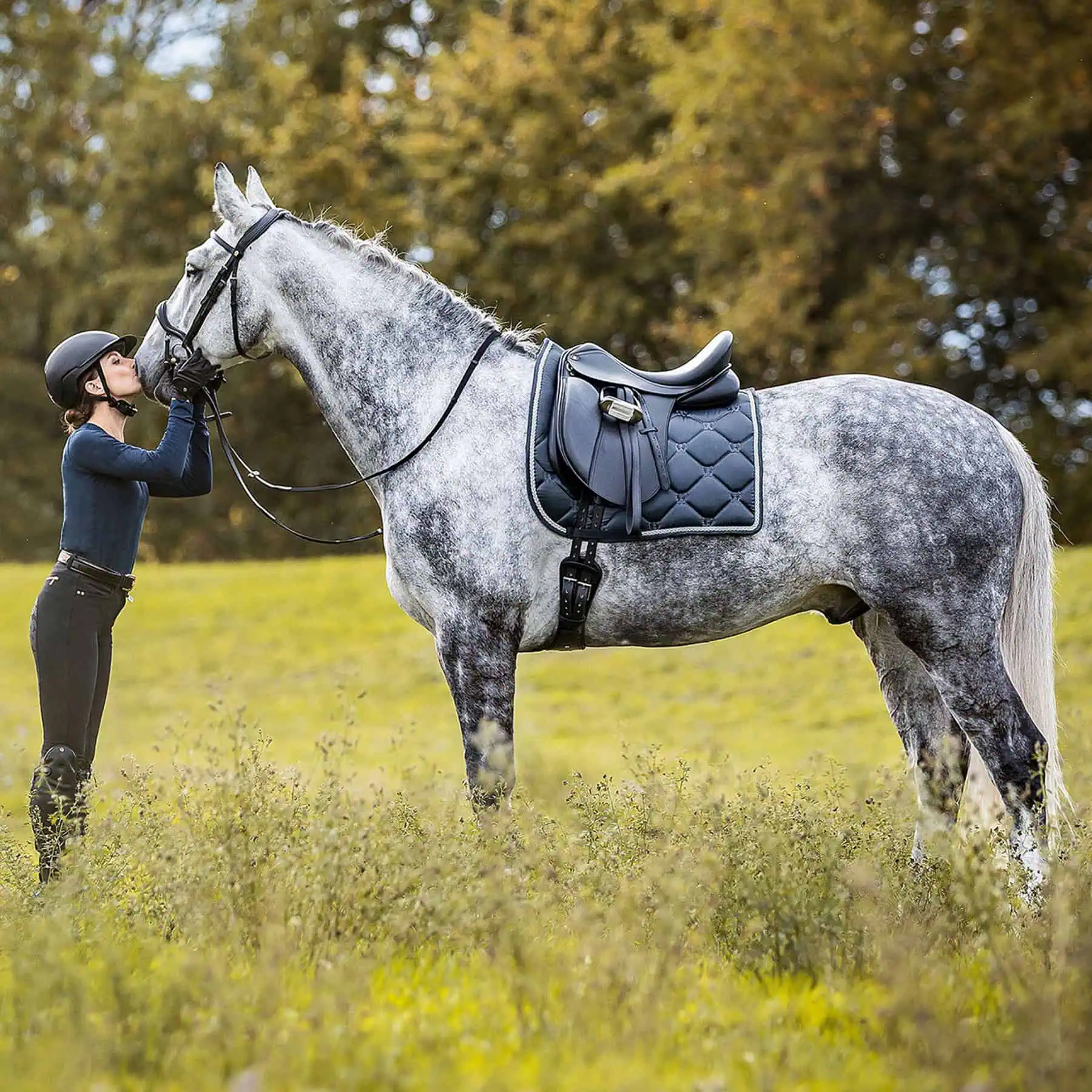 Selle de dressage Premium en cuir