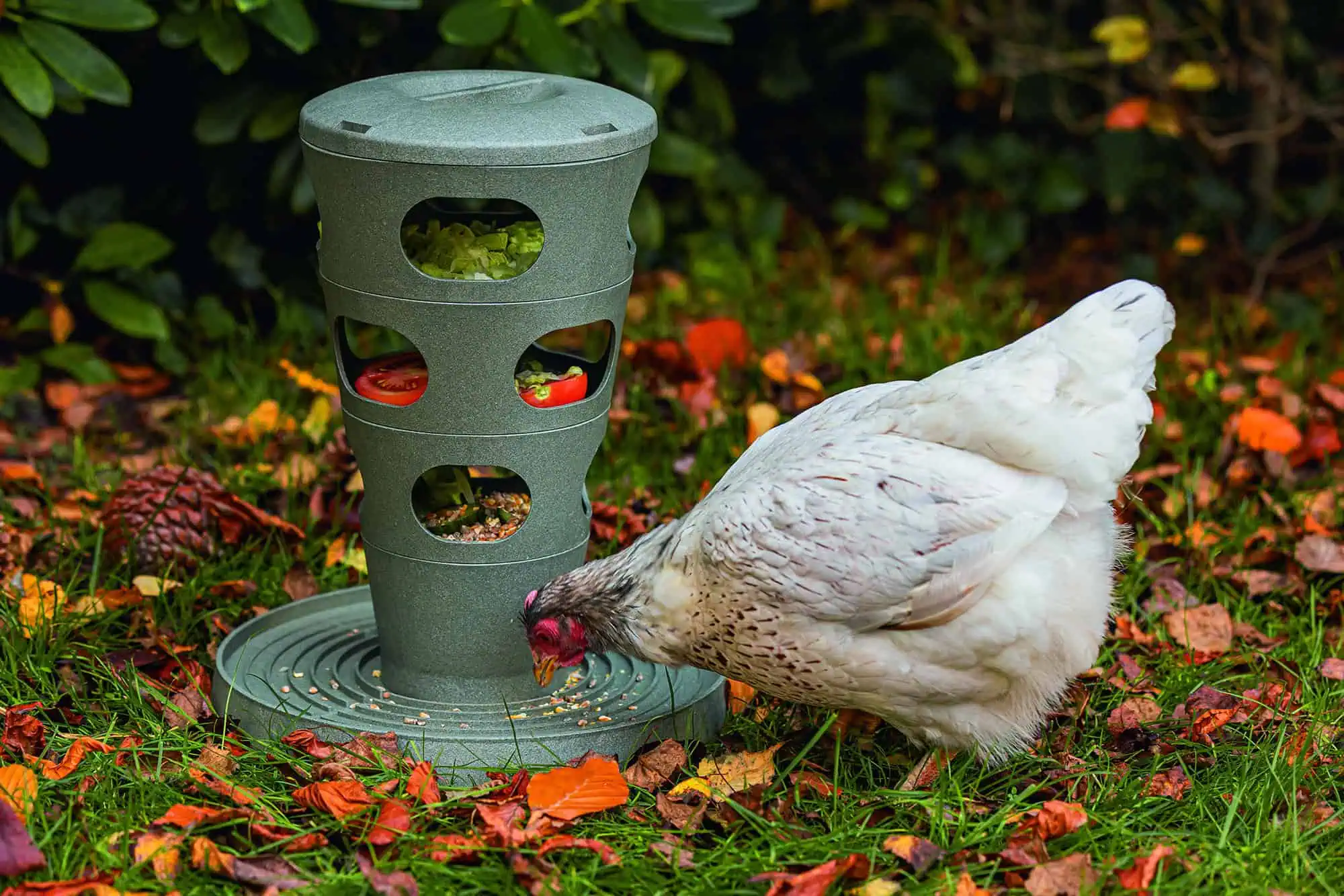 Tour d'Alimentation pour Poules de Beeztees