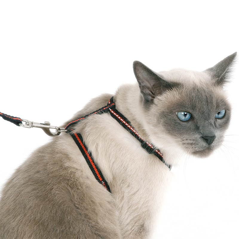 Kerbl Kit chat réfléchissant 3 pièces avec collier, harnais et laisse