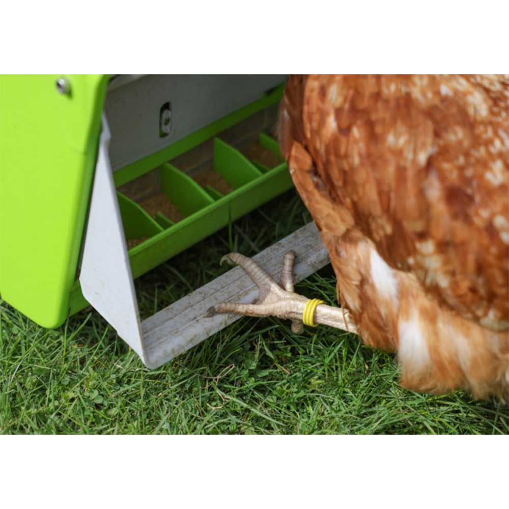 Mangeoire automatique pour poules SmartCoop