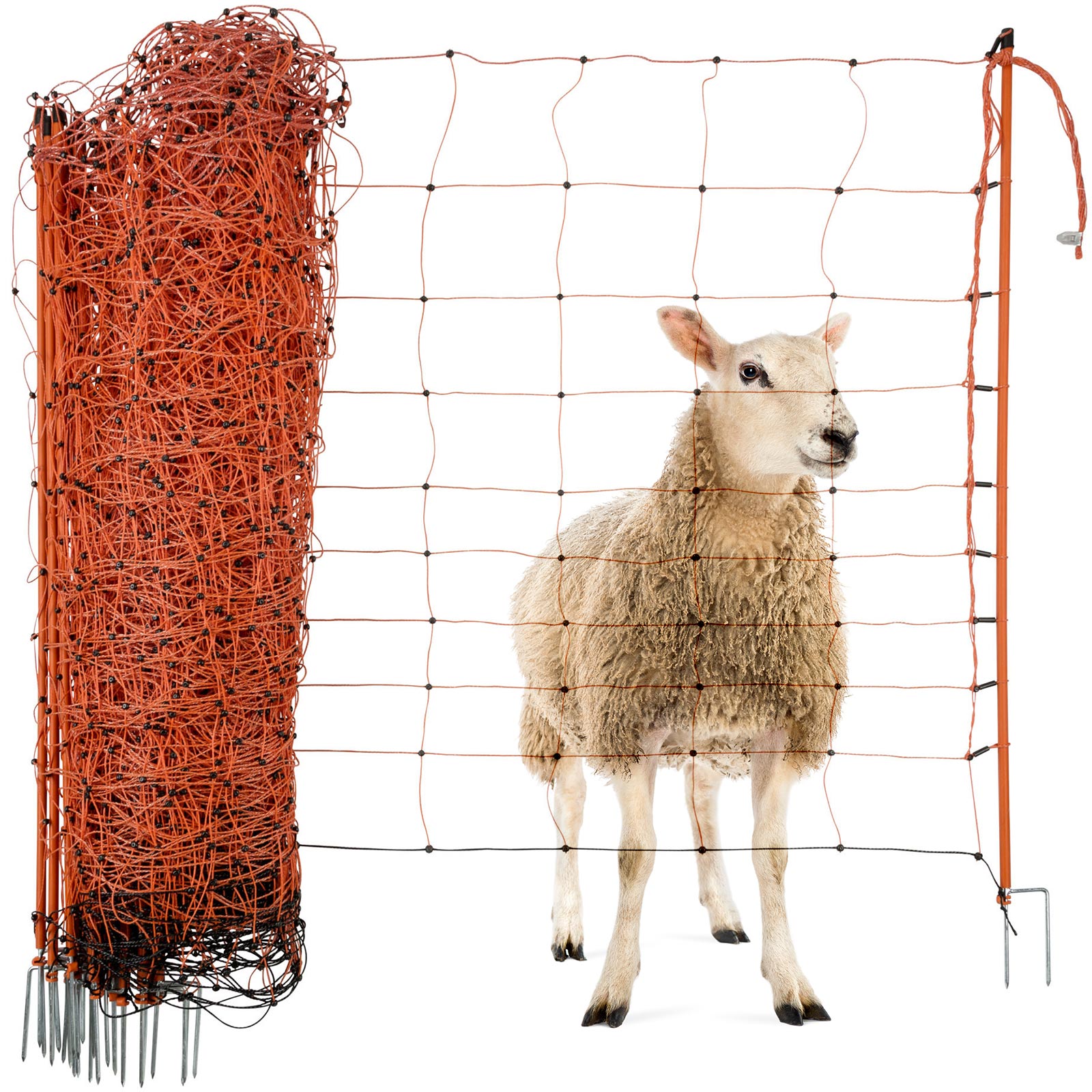 Filet pour moutons électrifiable Agrarzone Classic, à double pointe, orange 50 m x 90 cm