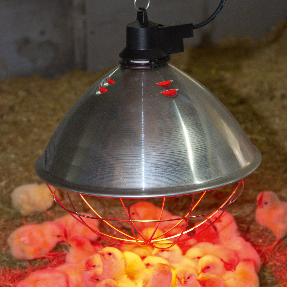Dispositif de rayonnement de chaleur infrarouge avec lampe en verre dur 250 W, rouge