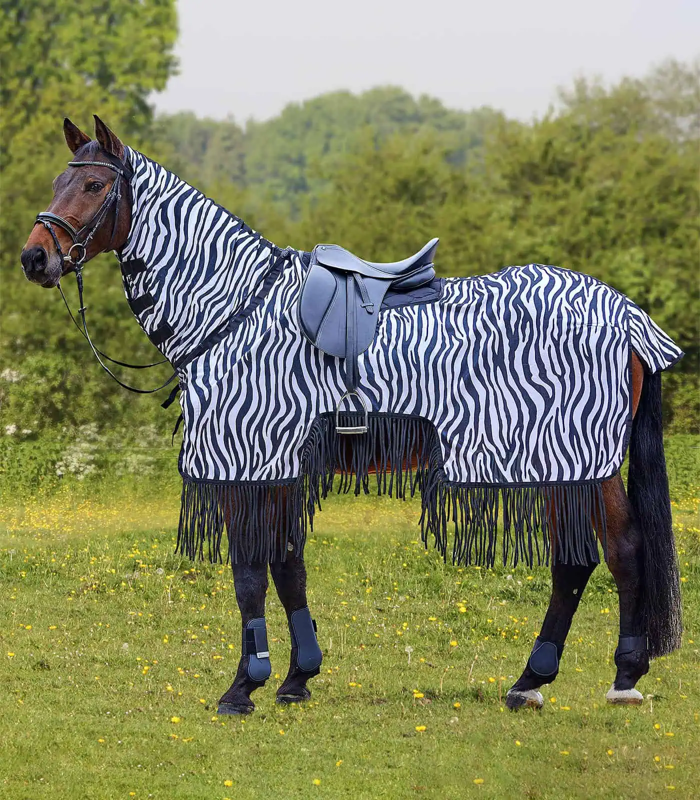 Chemise anti-mouches avec franges Zebra