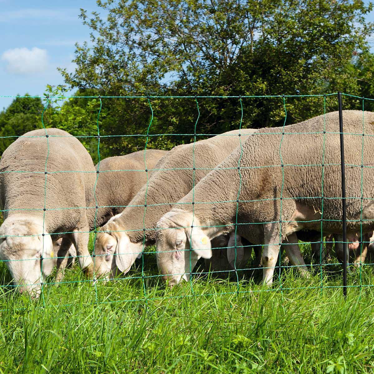 Filet pour moutons AKO OviNet 50m vert électrifié 90 cm pointe unique