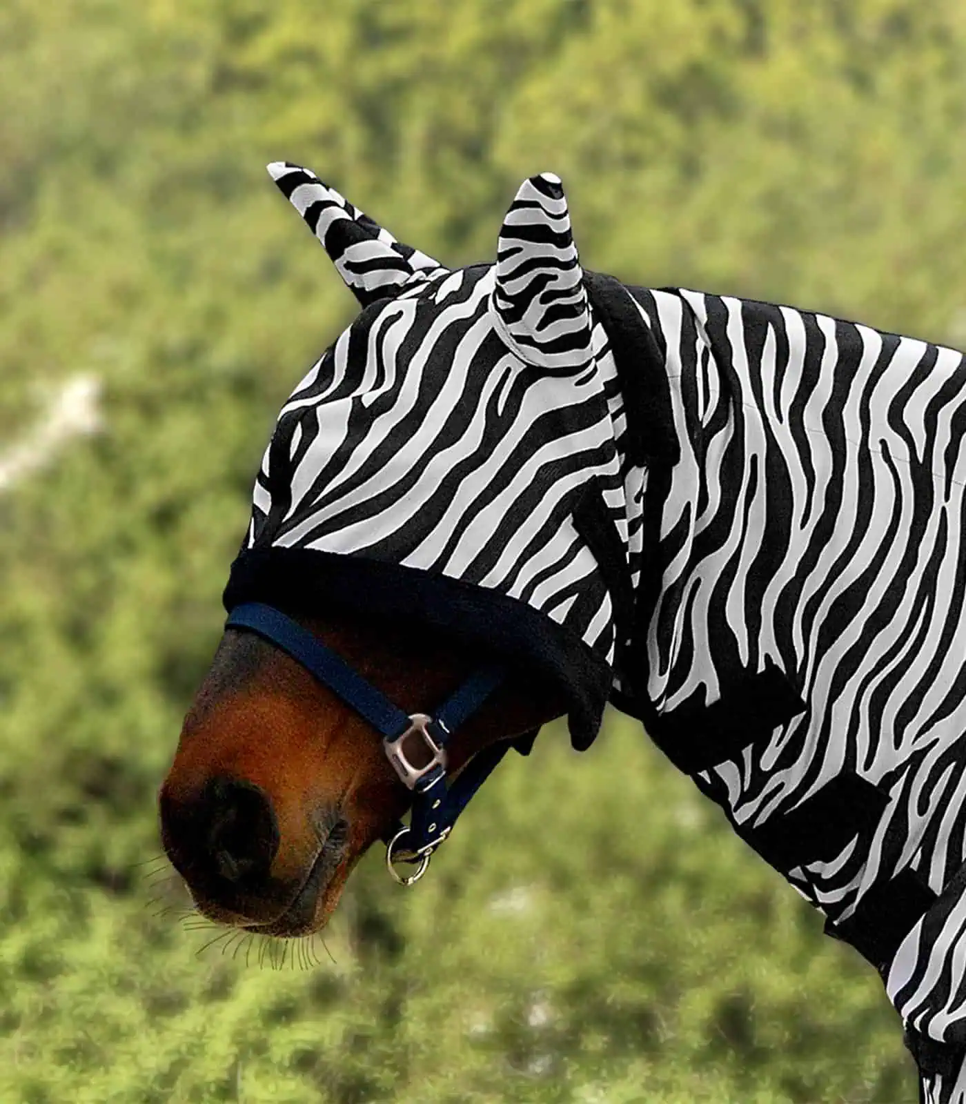 Bonnet anti-mouches Zebra