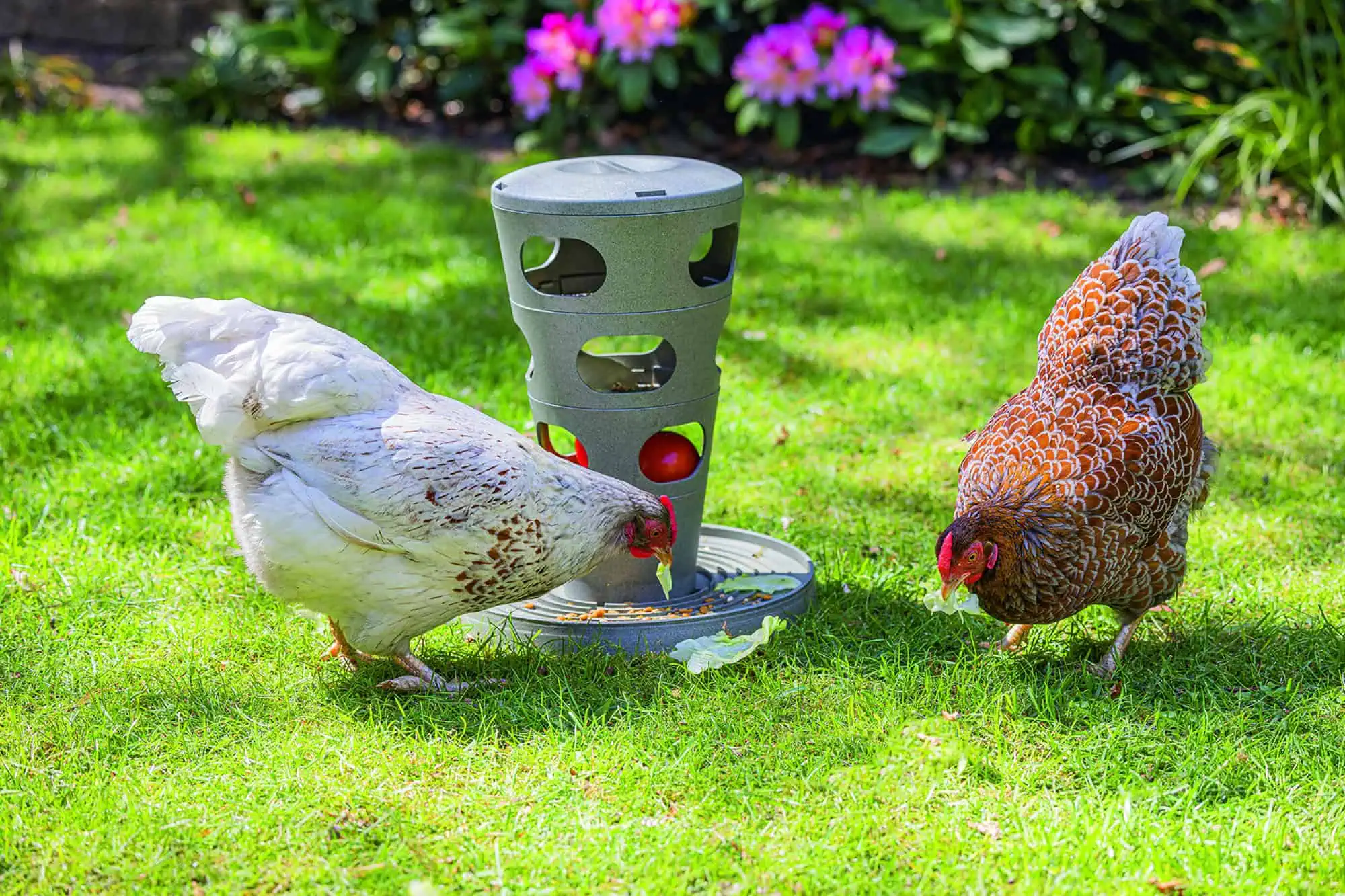 Tour d'Alimentation pour Poules de Beeztees