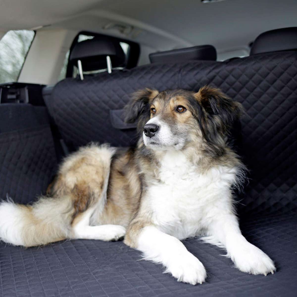 Kerbl Housse de siège auto pour chiens premium