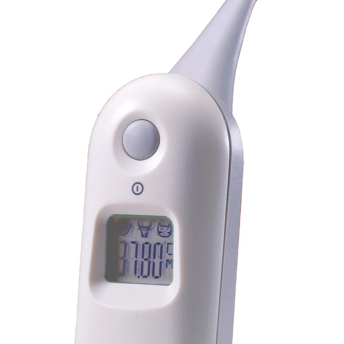 Thermomètre clinique Toptemp électronique animaux rectal