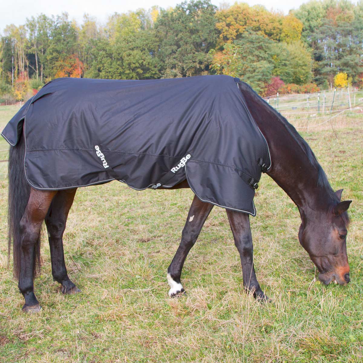 Covalliero Tapis de cheval RugBe IceProtect 600d, 200g 165