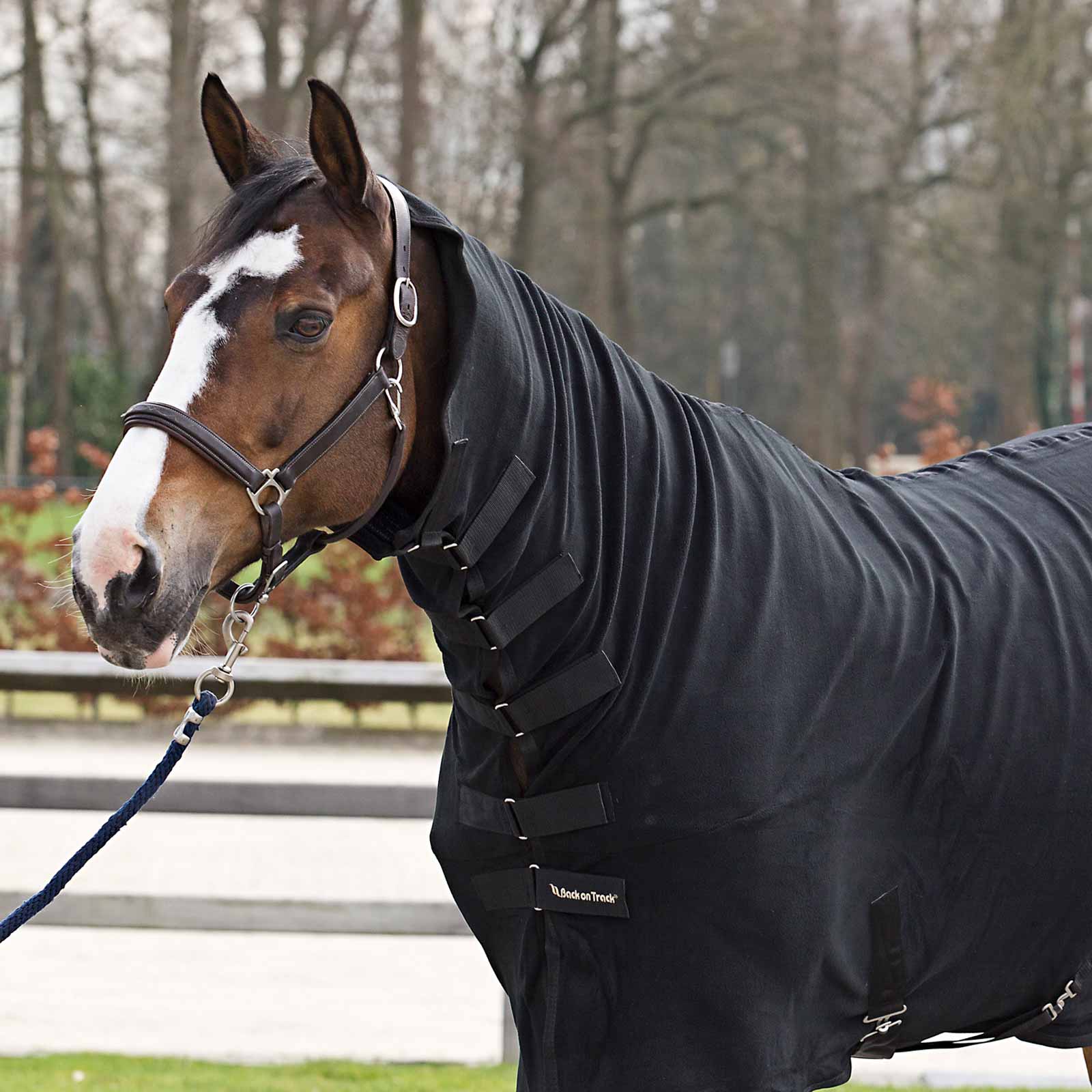 Couverture séchante cheval Back on Track avec couvre-cou Supreme noir 135