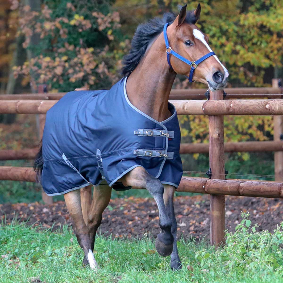 Covalliero Tapis de cheval RugBe IceProtect navy 600d, 300g 125