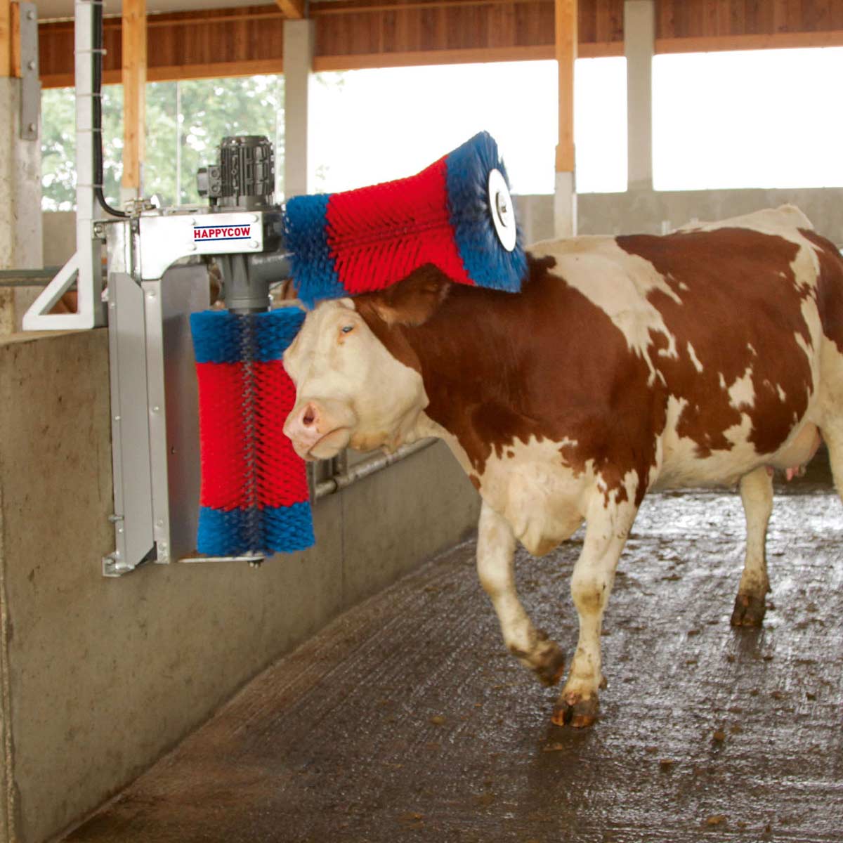 Machine à nettoyer les vaches happycow Duo
