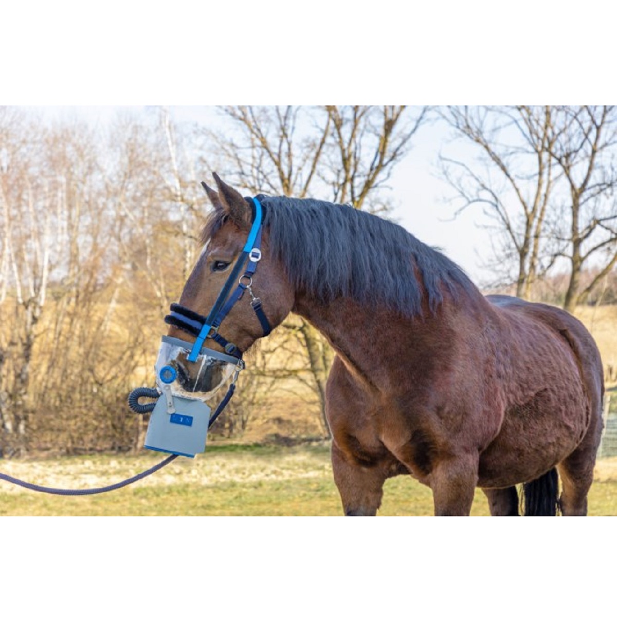 Inhalateur à ultrasons a batterie pour chevaux sans masque Hippomed AirOne Flex