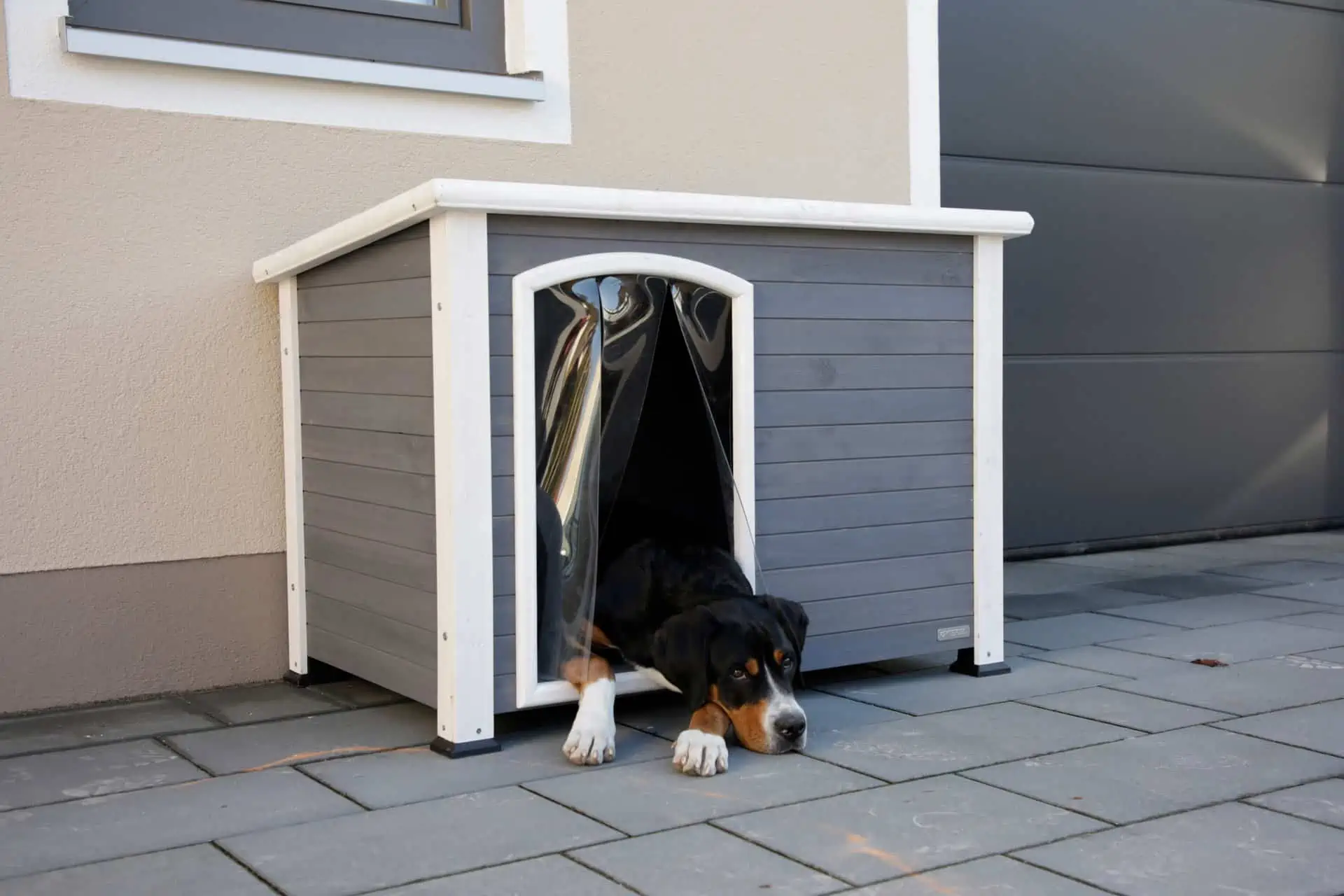 Dog House Kenny, grey/white 113 x 77 x 81 cm