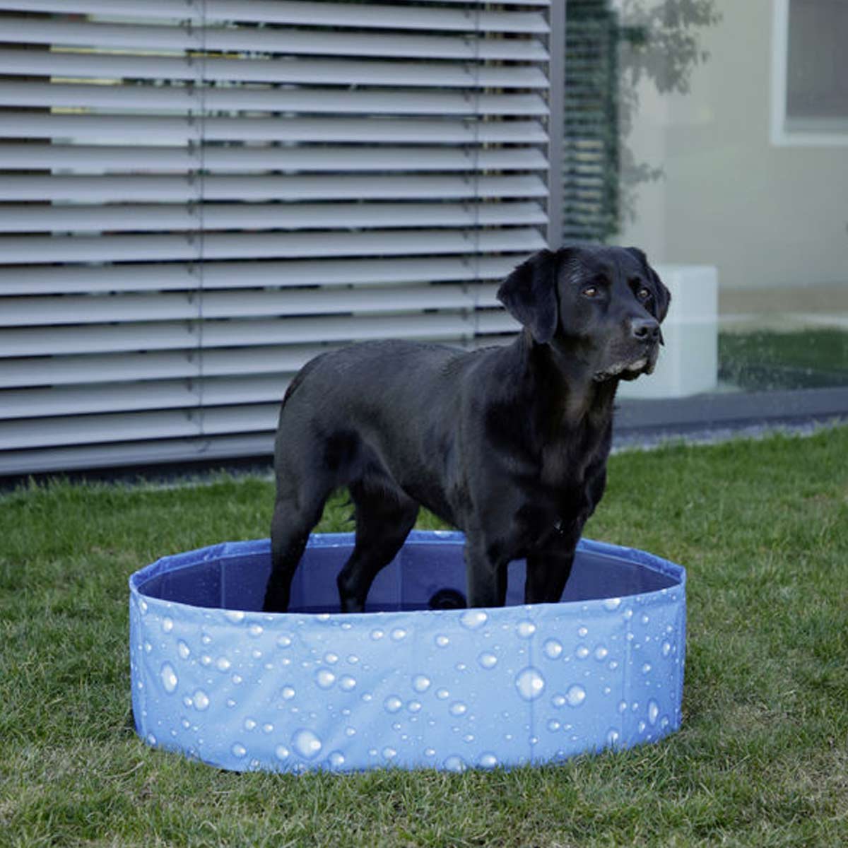 Kerbl Bulle de piscine pour chien 80 cm