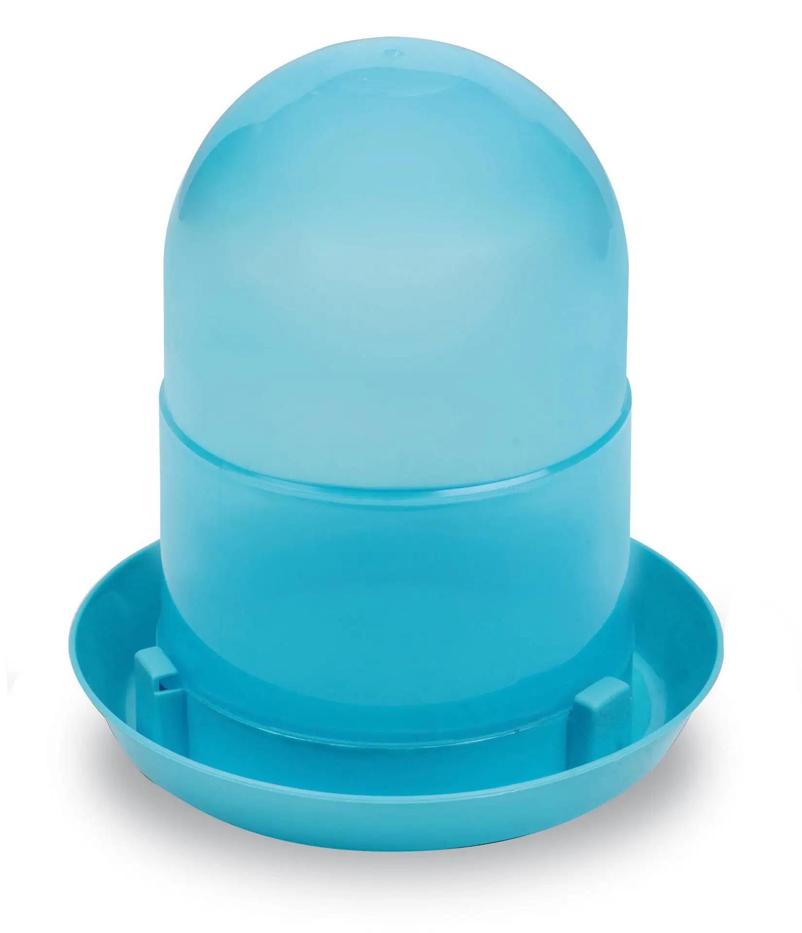 Abreuvoir pour poussins 2 L, bleu